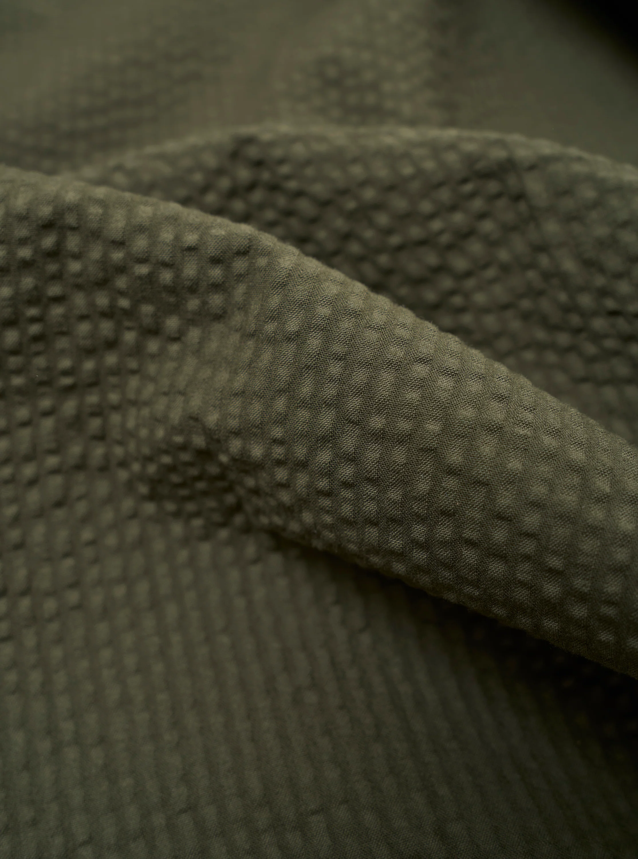 Olive Merida Seersucker Pleated Track Pant - Image 4