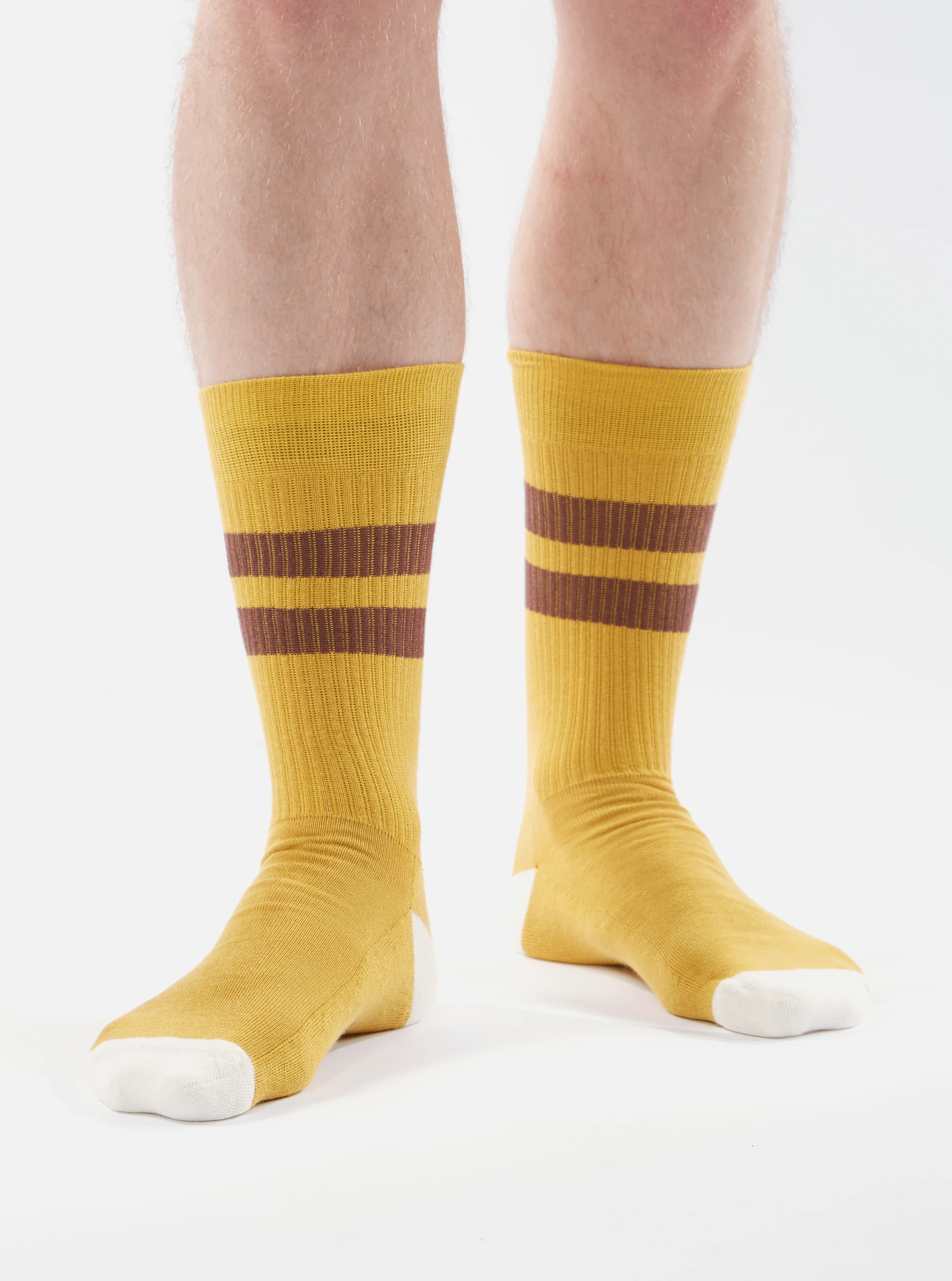 Yellow/Raisin Cotton Rib Sport Sock - Image 4