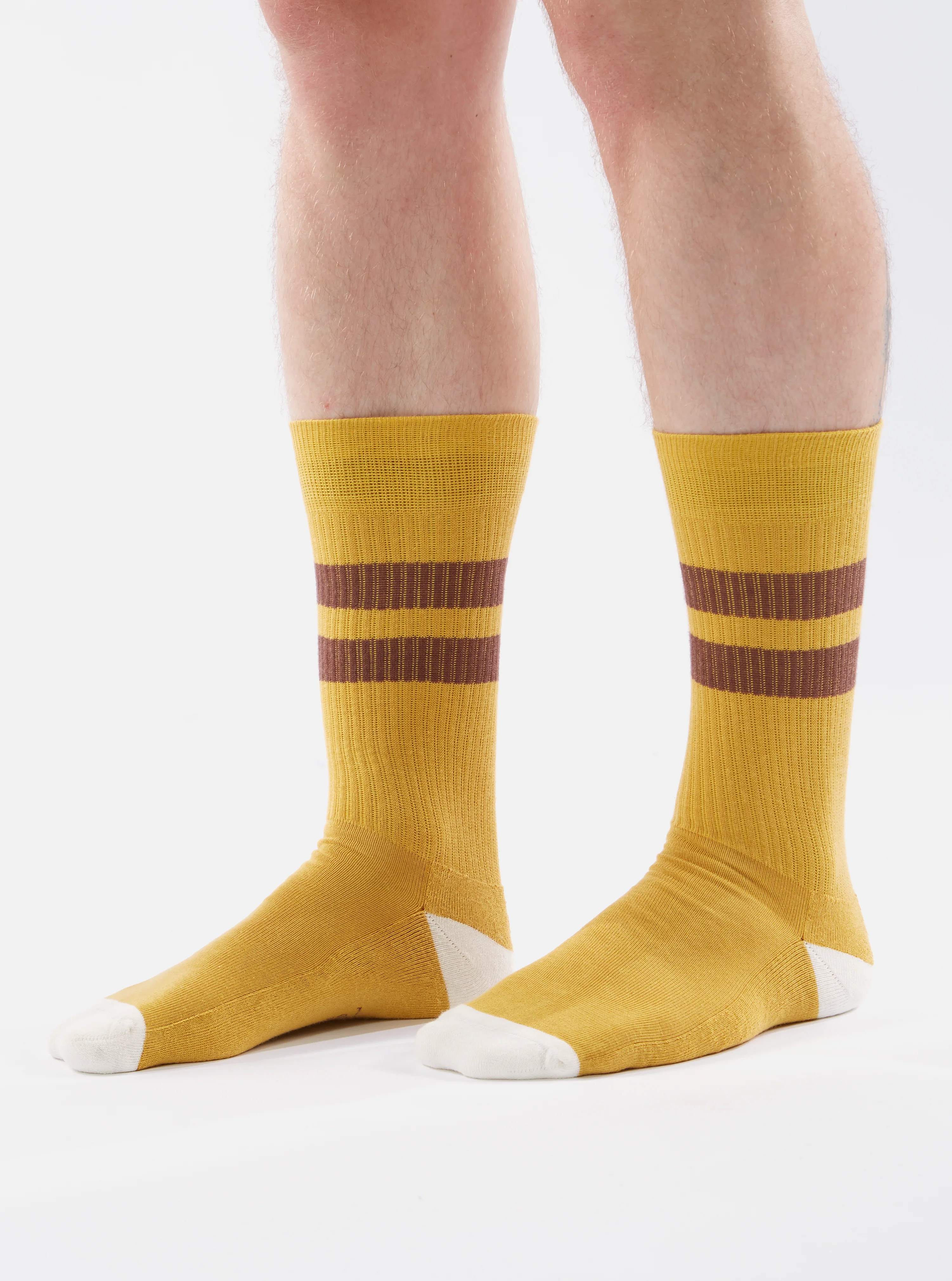 Yellow/Raisin Cotton Rib Sport Sock - Image 5